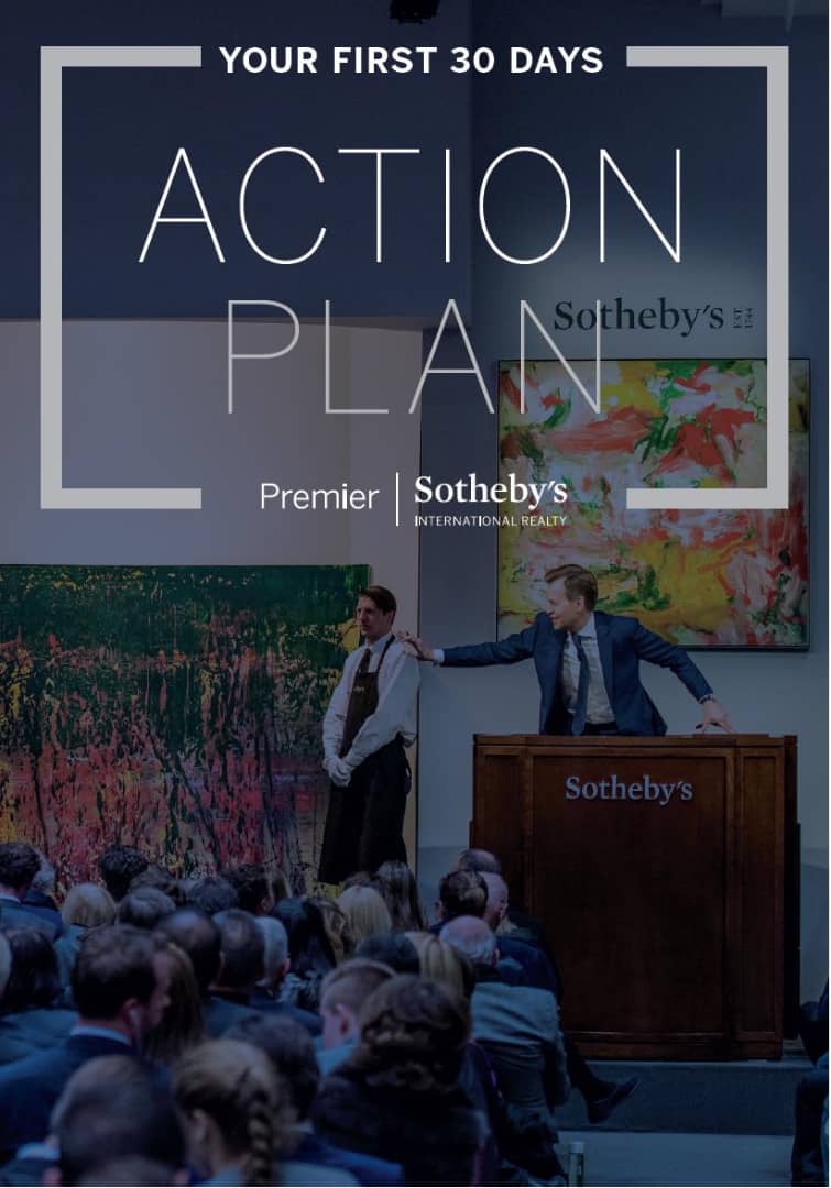 action plan